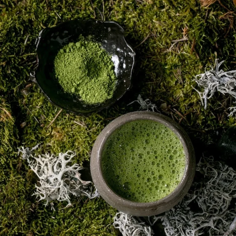 Matcha w ceramicznym kubku i sproszkowana matcha na leśnym mchu