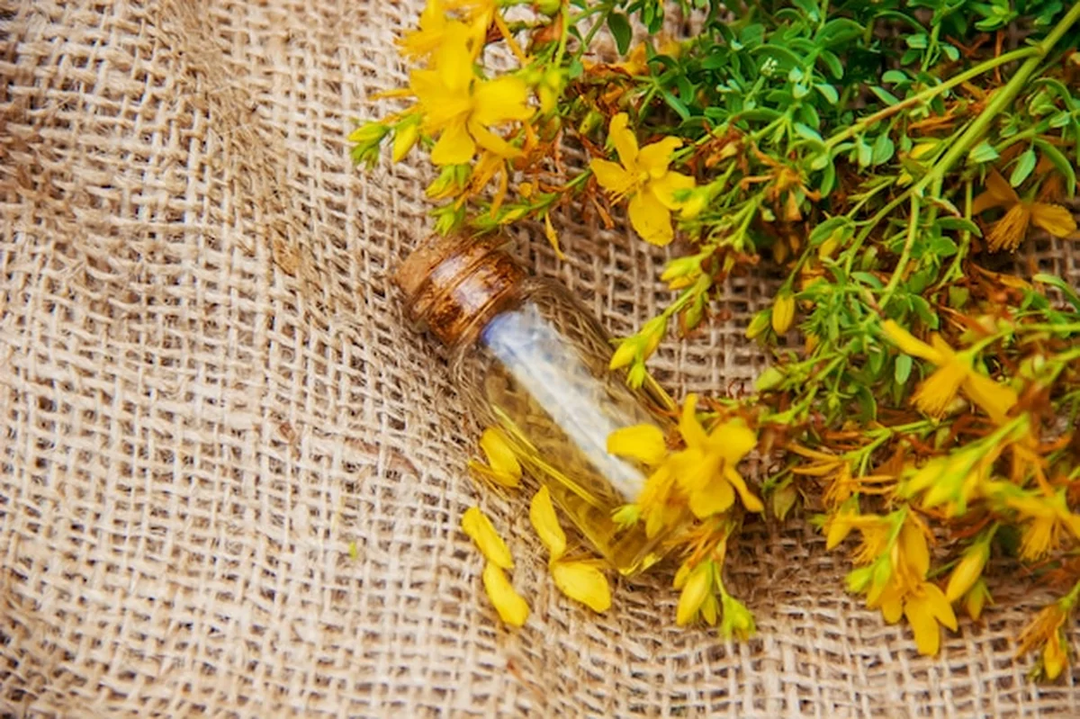 Ekstrakt z dziurawca zwyczajnego - roślina lecznicza