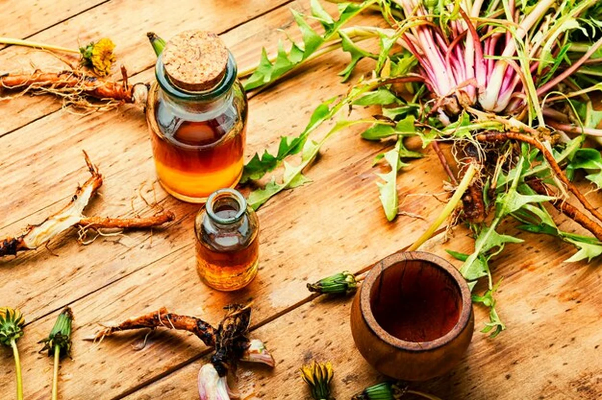 Zioła lecznicze w ziołolecznictwie