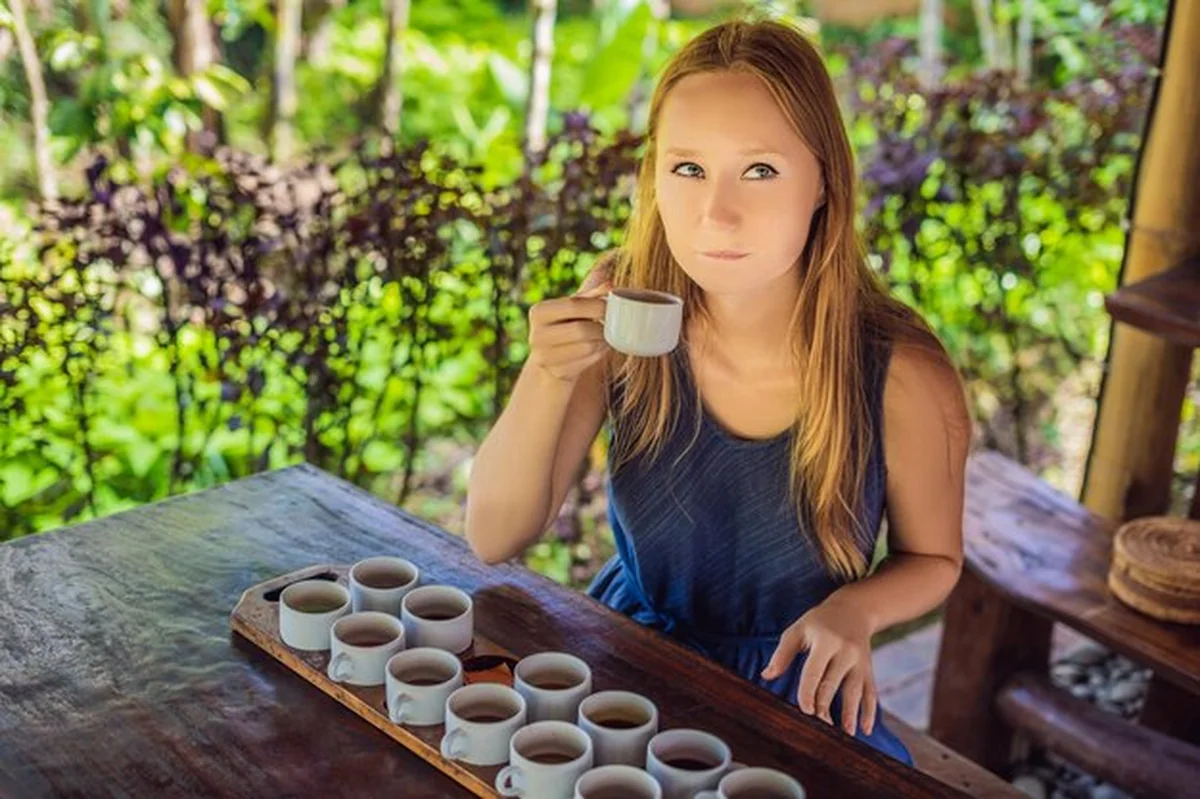 Młoda kobieta degustuje kawę i herbatę, w tym kawę Luwak