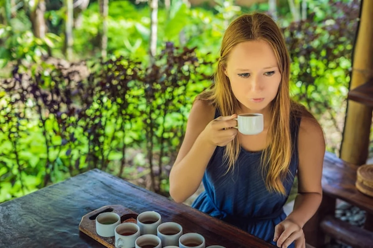 Młoda kobieta degustuje kawę Luwak i herbaty