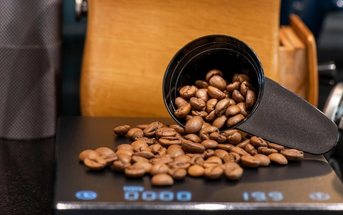 Barista przygotowuje ziarna kawy i sprzęt do kroplenia