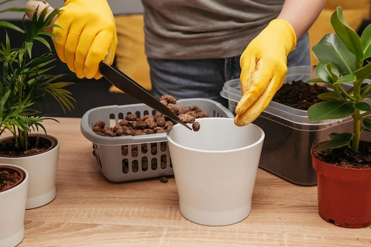 Młoda dziewczyna przesadza kwiaty w jasnym mieszkaniu